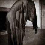 `weeping widow