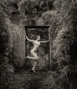 The Binny Gate