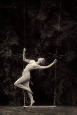 The Swing