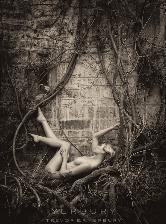 The Nest